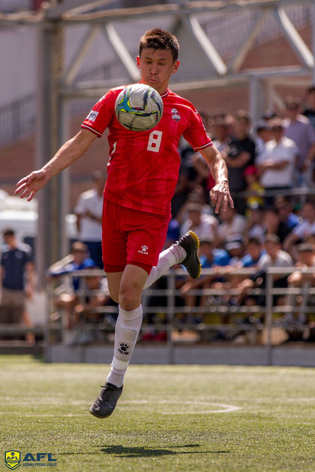 IMG 1461
