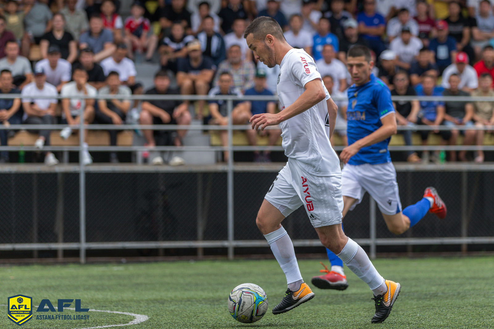 IMG 8176