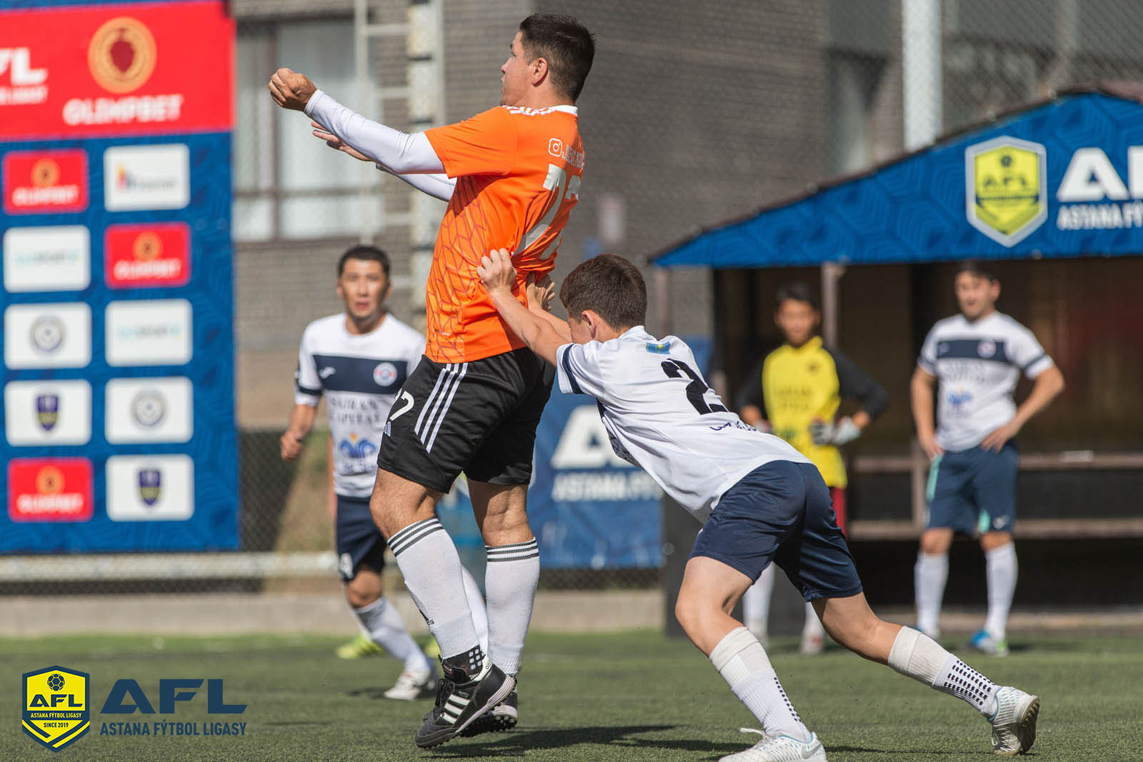 IMG 7177