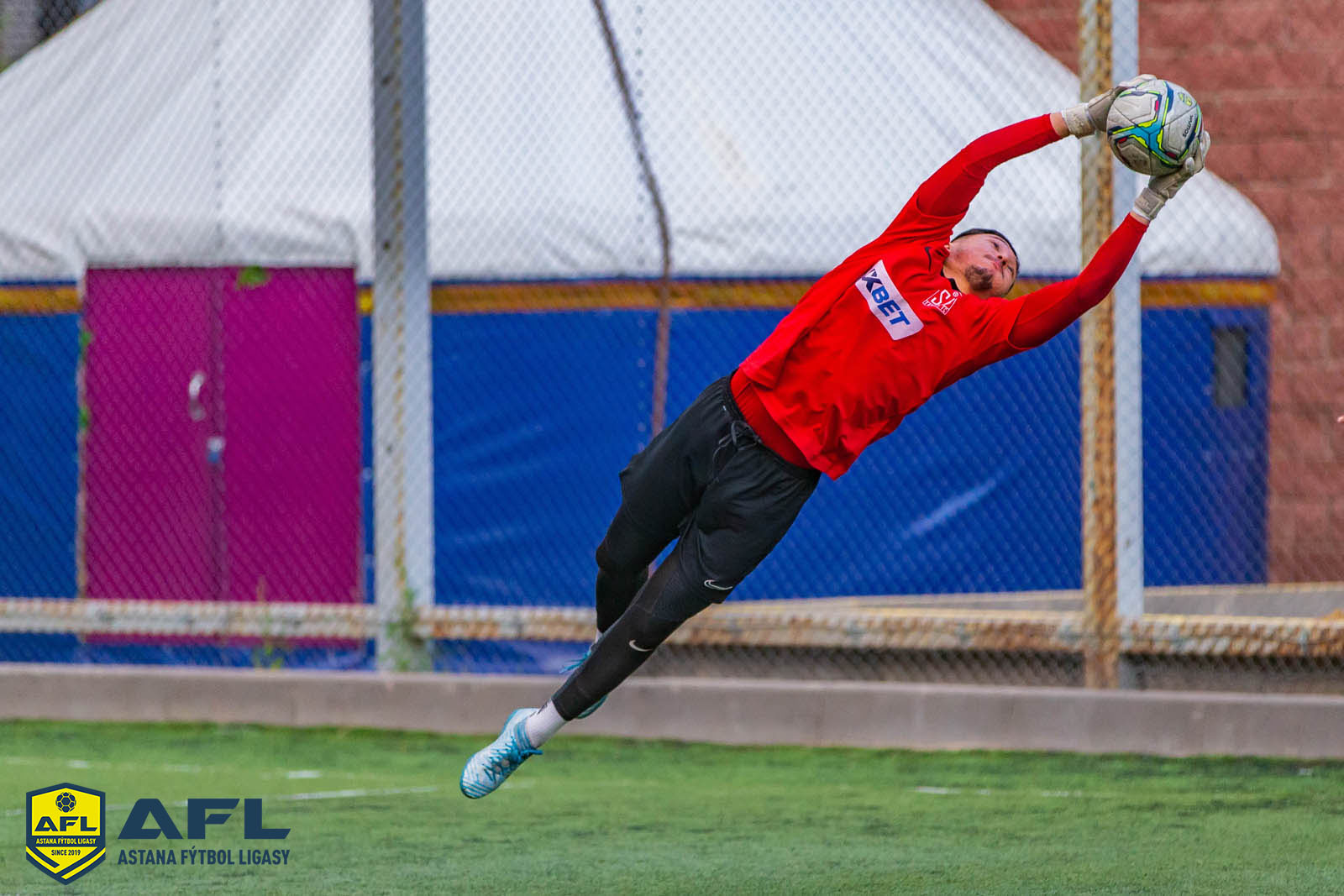 IMG 9481