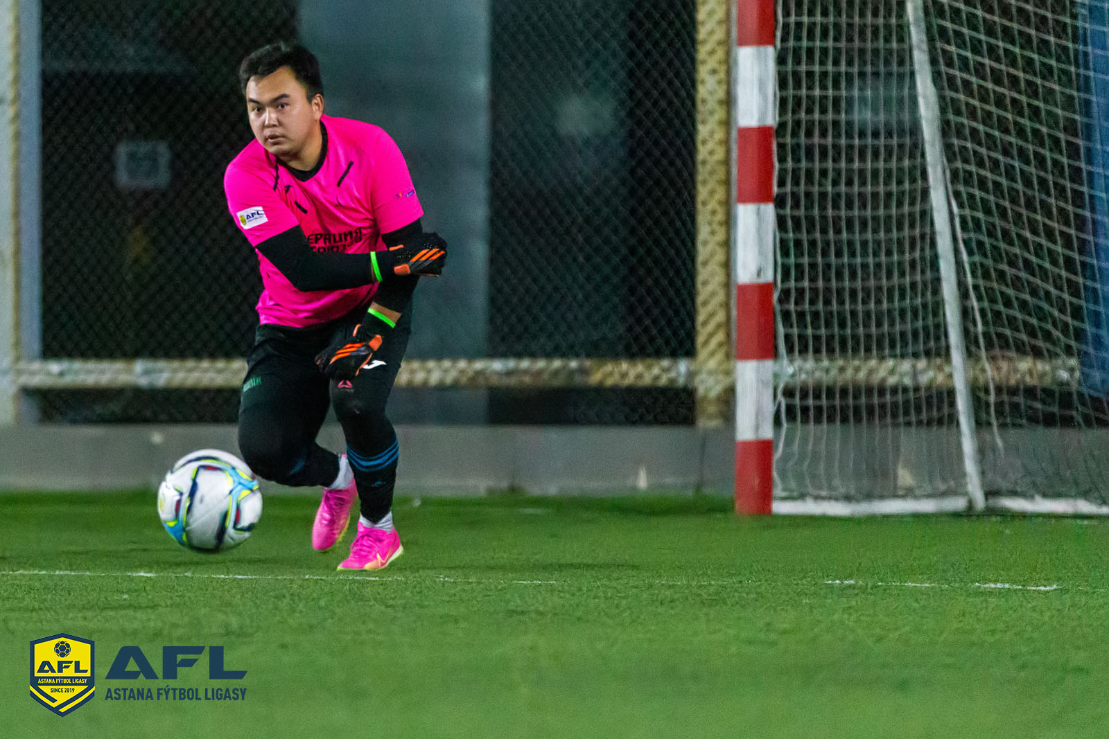 IMG 5013