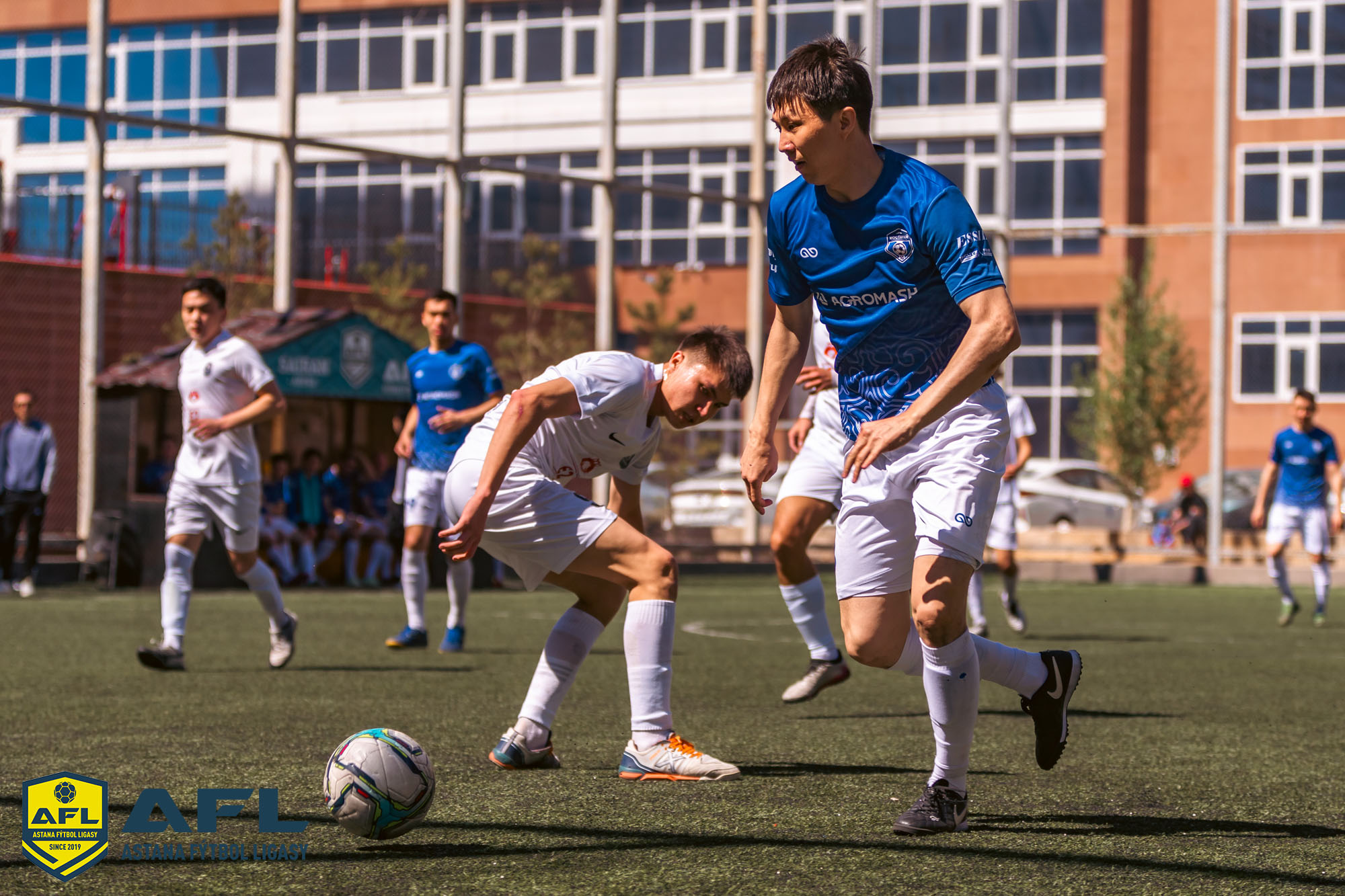 IMG 6079