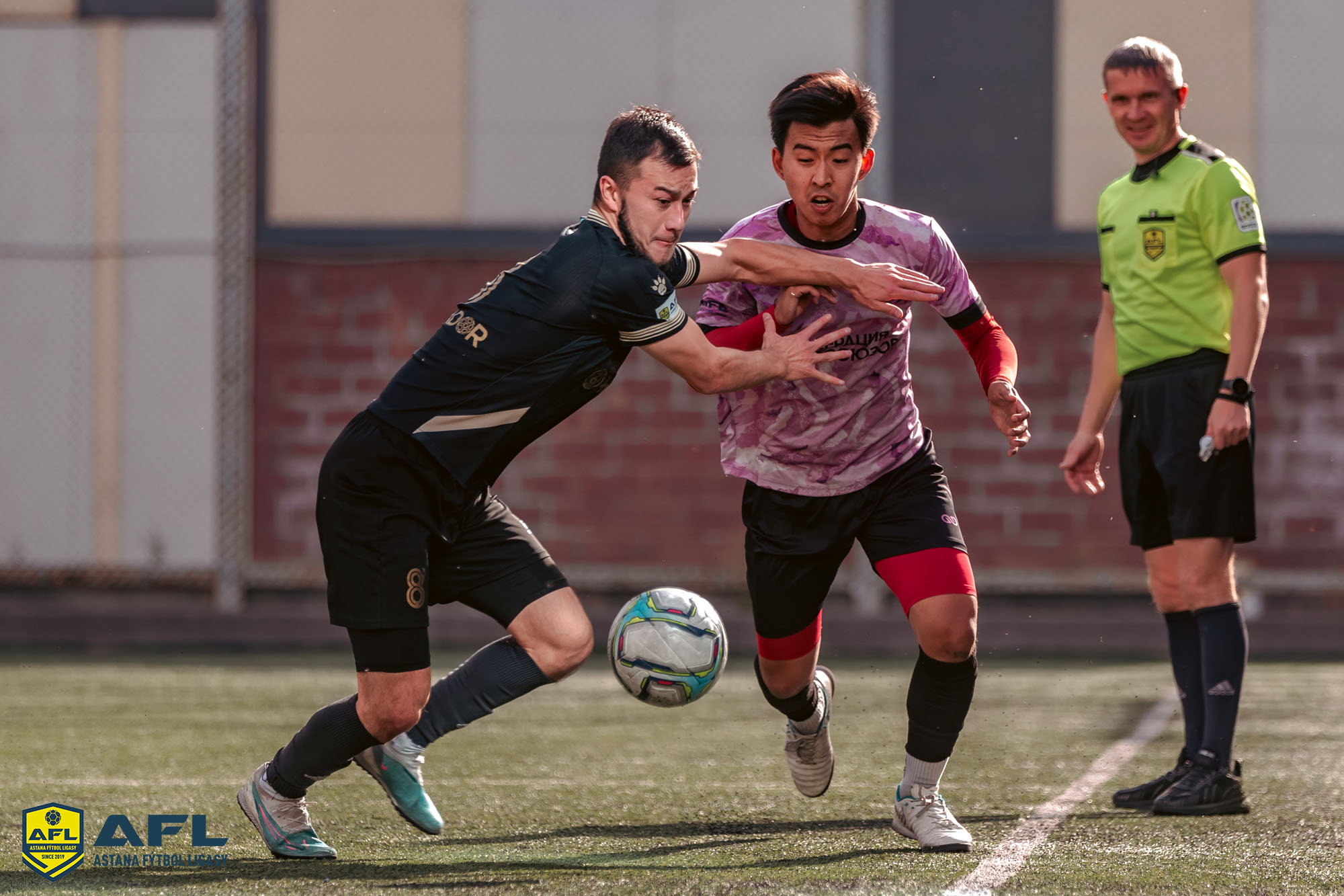 IMG 0055