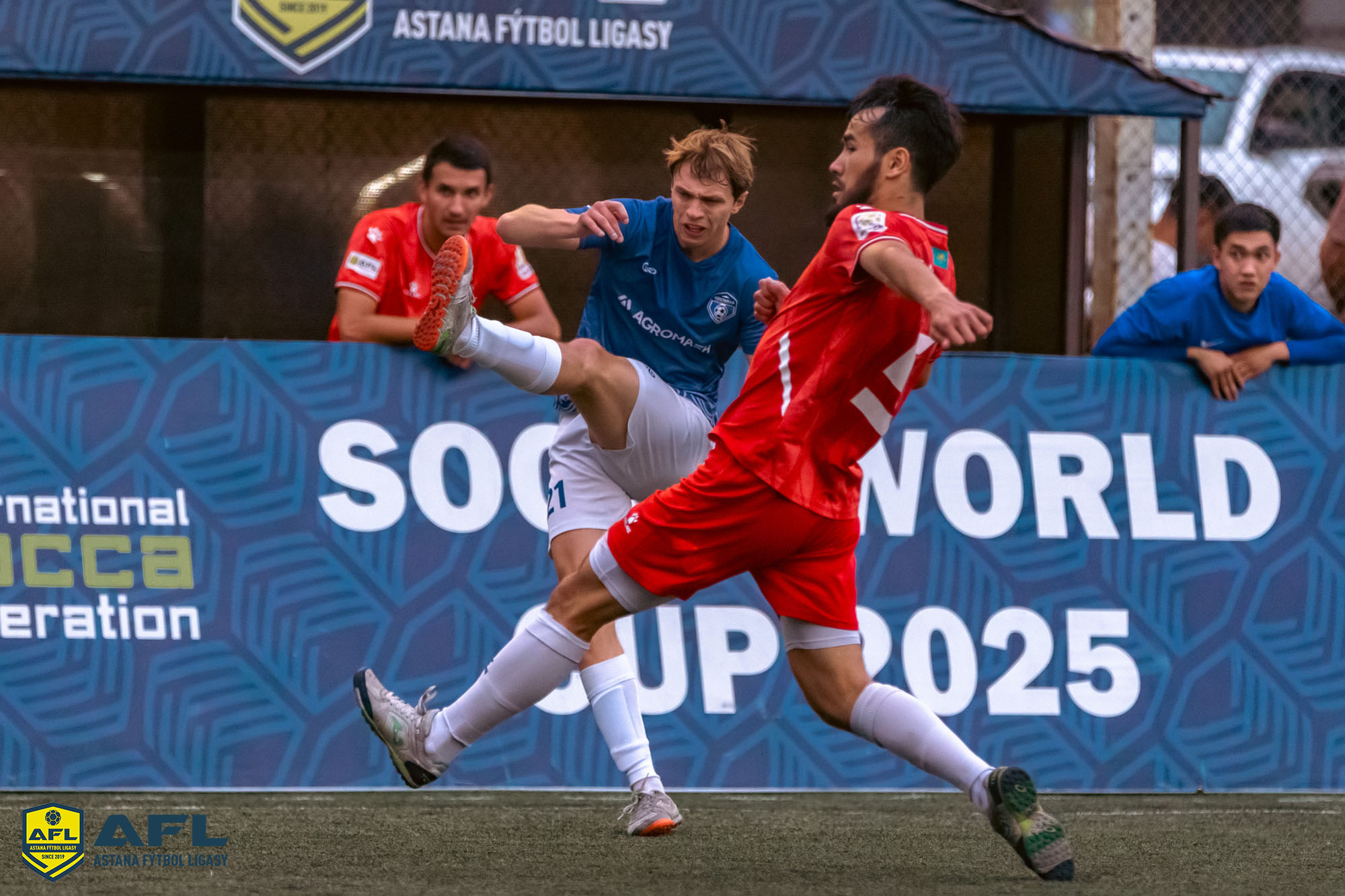 IMG 0246