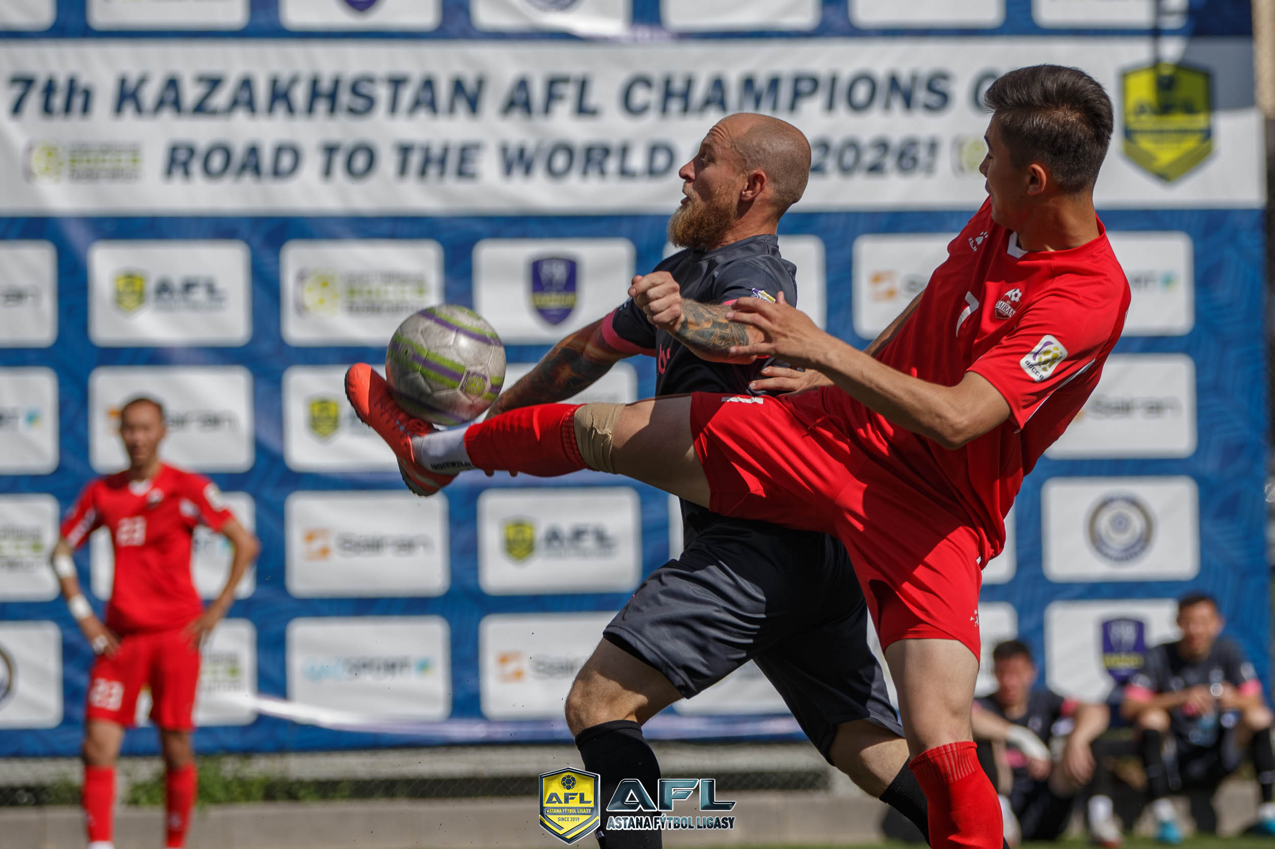 IMG 8205