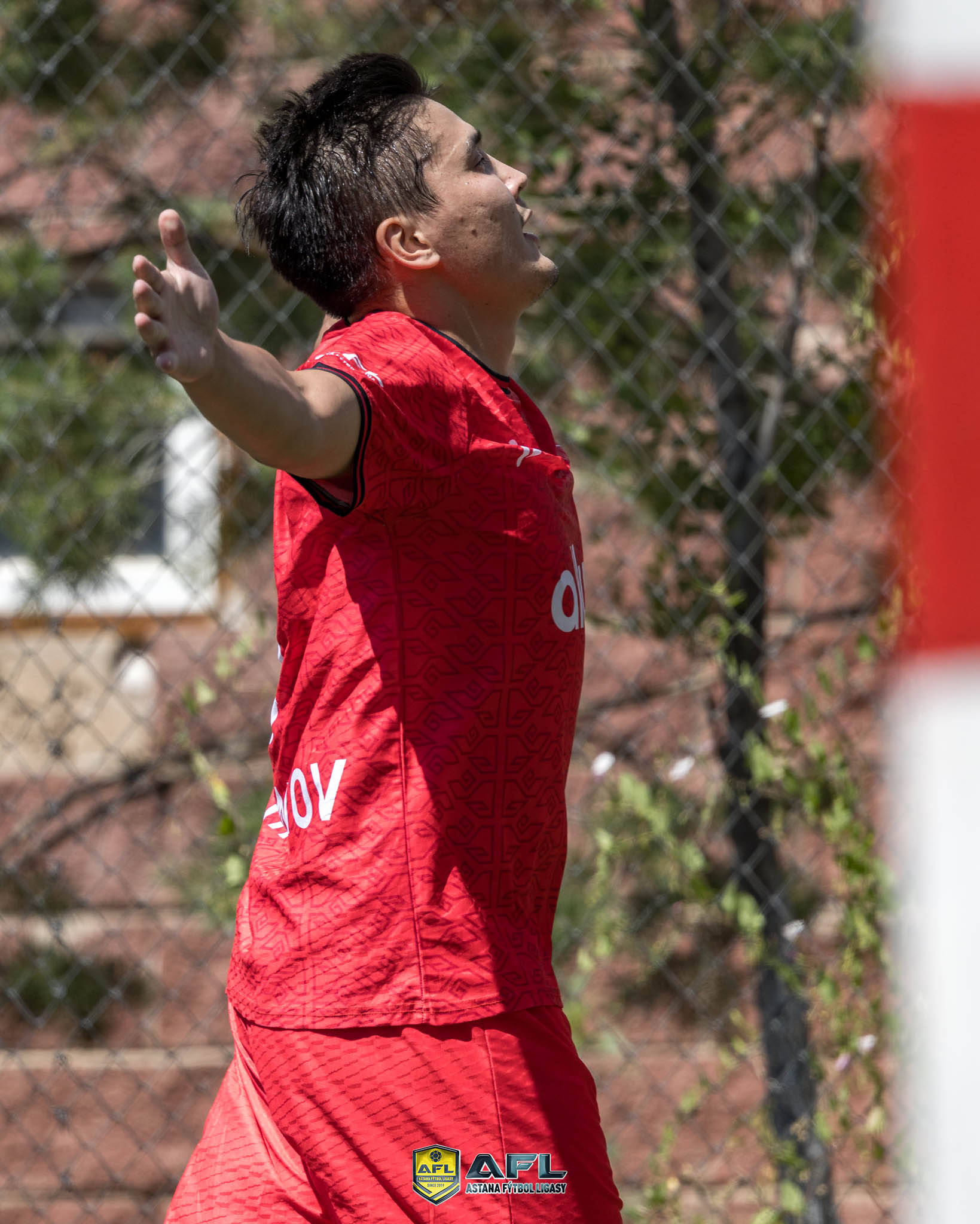 IMG 7294