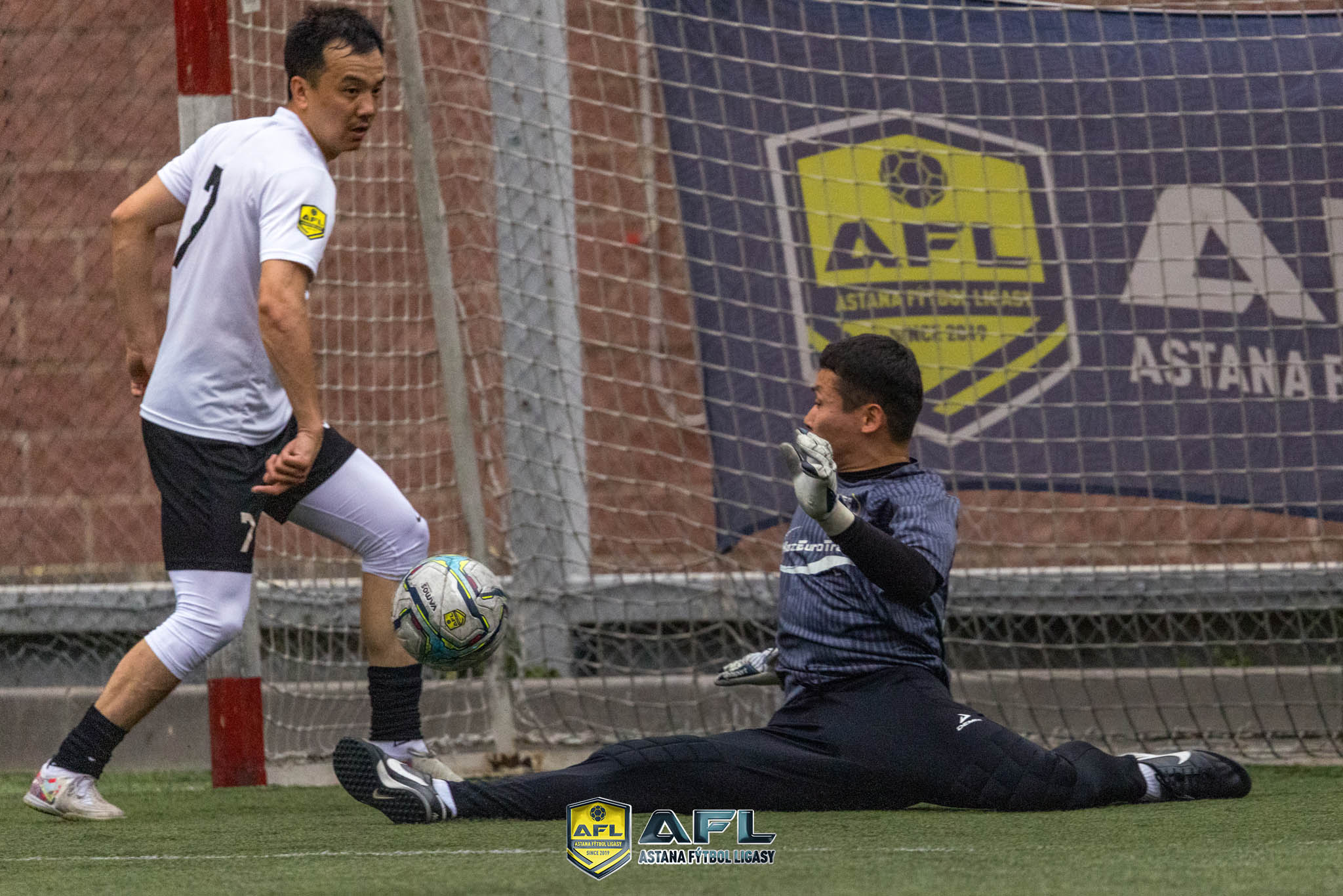 IMG 2217